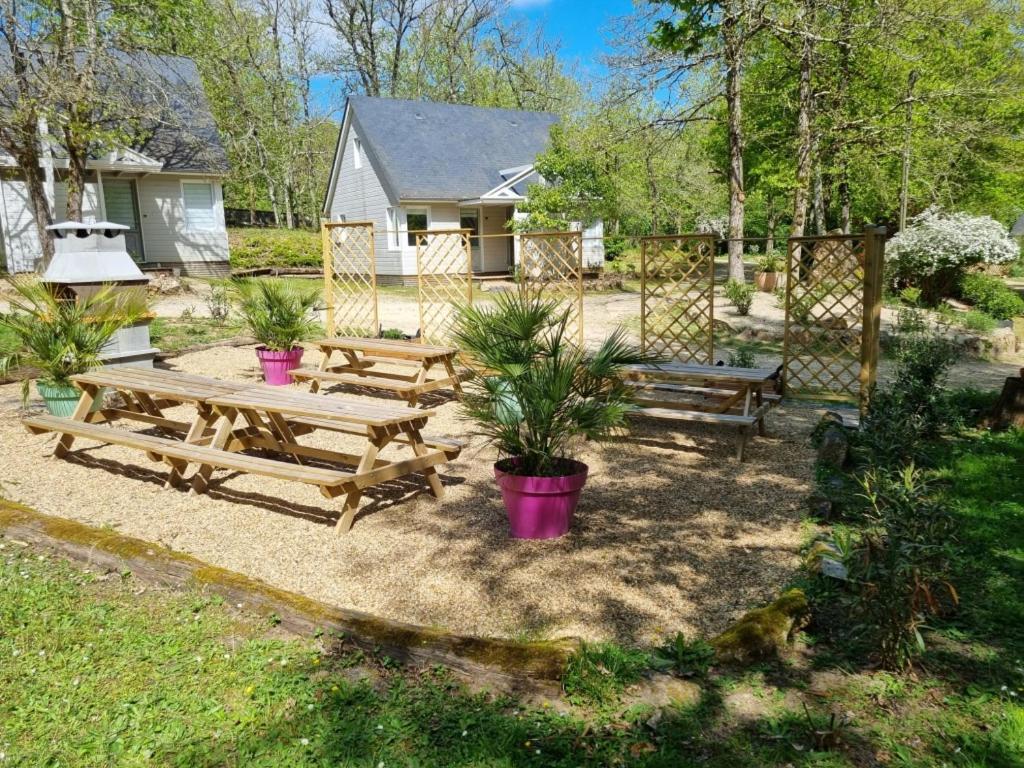 Les Chalets De Saumur, Piscine & Parc Boise, 100M Du Cadrenoir Exterior photo