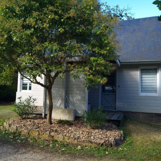 Les Chalets De Saumur, Piscine & Parc Boise, 100M Du Cadrenoir Exterior photo